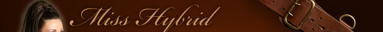 miss hybrid header miss hybrid header